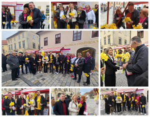 Reformisti tradicionalno podržali obilježavanje Dana narcisa u Varaždinu